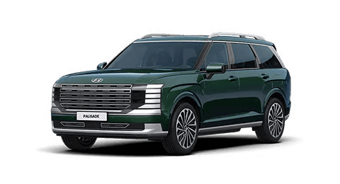 New Palisade
